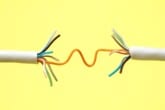 A frayed Ethernet cable exposing several wires within