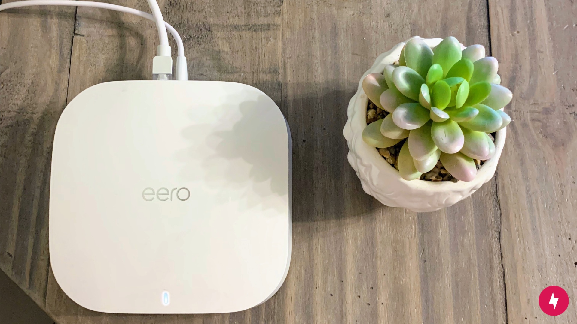 A white Eero router on a table beside a succulent plant.