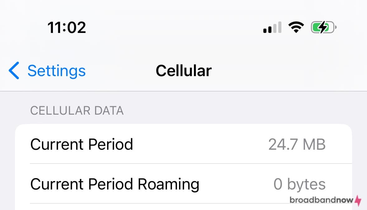 reenshot of an iPhone’s data-usage settings.