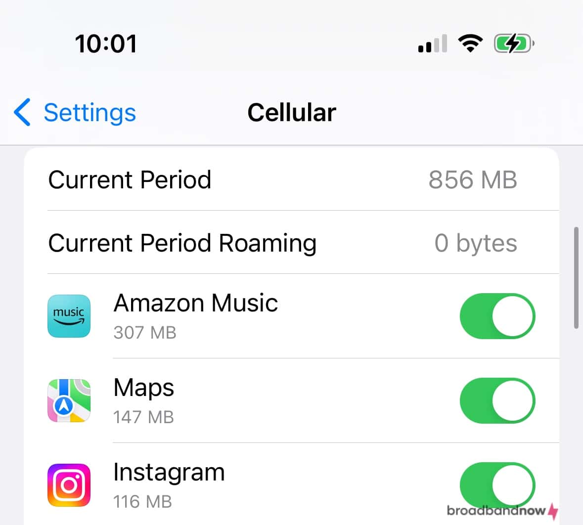 Screenshot of cellular settings on an iPhone device