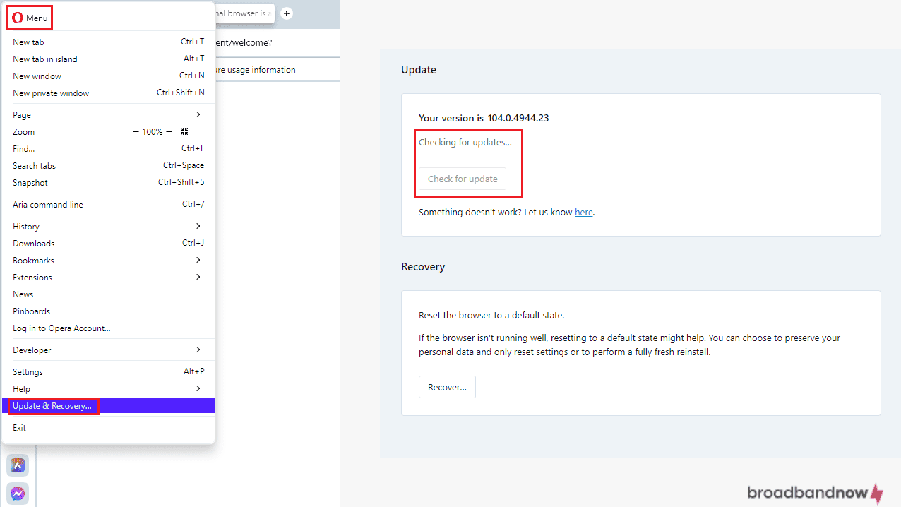 Screenshots of Opera update process