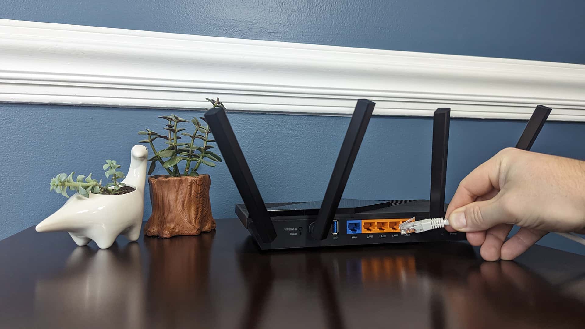 Person plugging in a TP-Link AX55 router via Ethernet with two succulent plants on a table