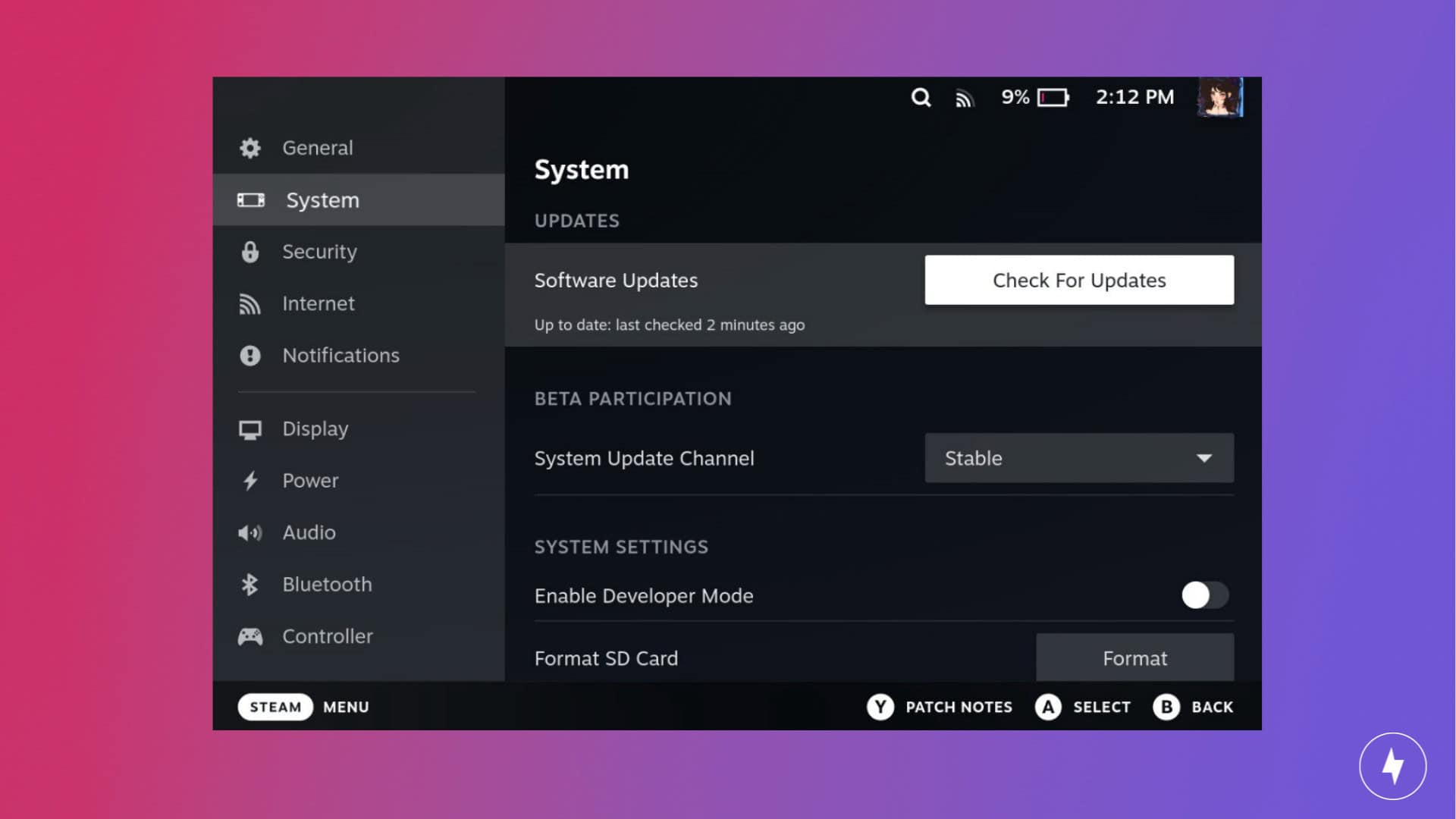 A screenshot of the Steam Deck settings for checking updates.