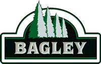 Bagley Public Utilities internet
