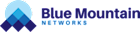 Blue Mountain Networks logo