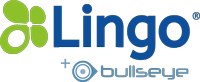 Lingo Telecom internet