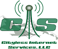 Cityless  Services LLC internet