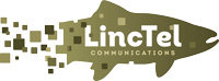 Lincoln Telephone Company internet