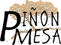 Pinon Mesa Networks logo