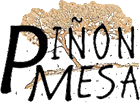 Pinon Mesa Networks logo