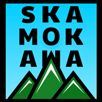 Skamokawa  Services internet